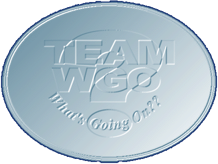 Team WGO - Le Mans - WHAT'S GOING ON?